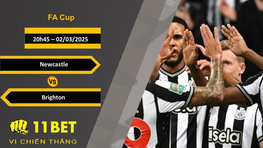 11BET Soi kèo Newcastle vs Brighton, 20h45, 02/03/2025